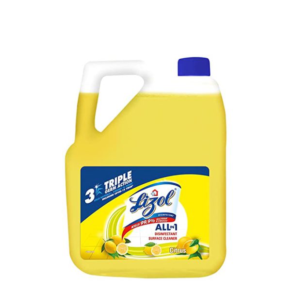 Buy Lizol Disinfectant Surface Cleaner